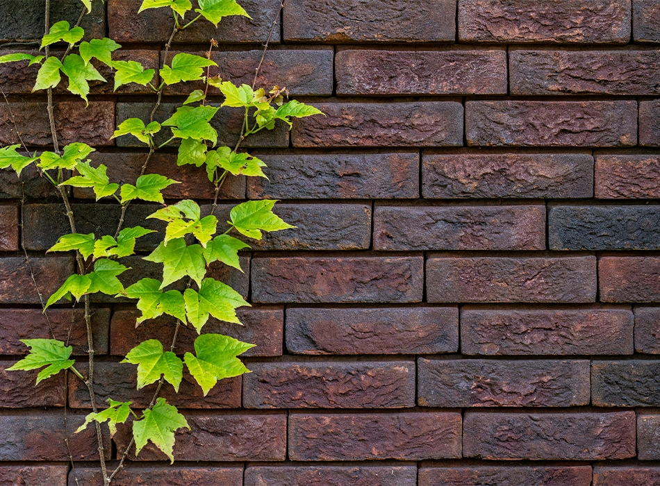 Facade built with the wienerberger ClickBrick system. (photo)