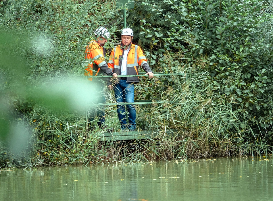 wienerberger biodiversity ambassadors support wildlife and ecosystems at production site (photo)